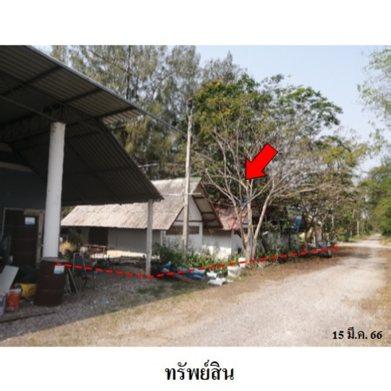 อื่นๆ ปึกเตียนวิลล่า เพชรบุรี ท่ายาง ปึกเตียน 2075100