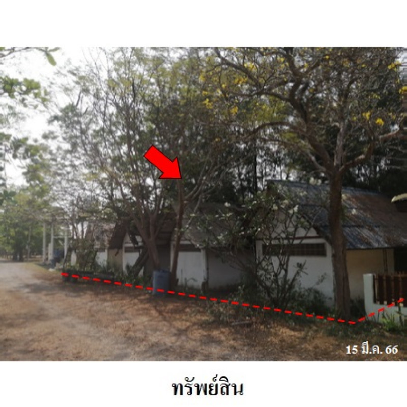 อื่นๆ ปึกเตียนวิลล่า เพชรบุรี ท่ายาง ปึกเตียน 2075100
