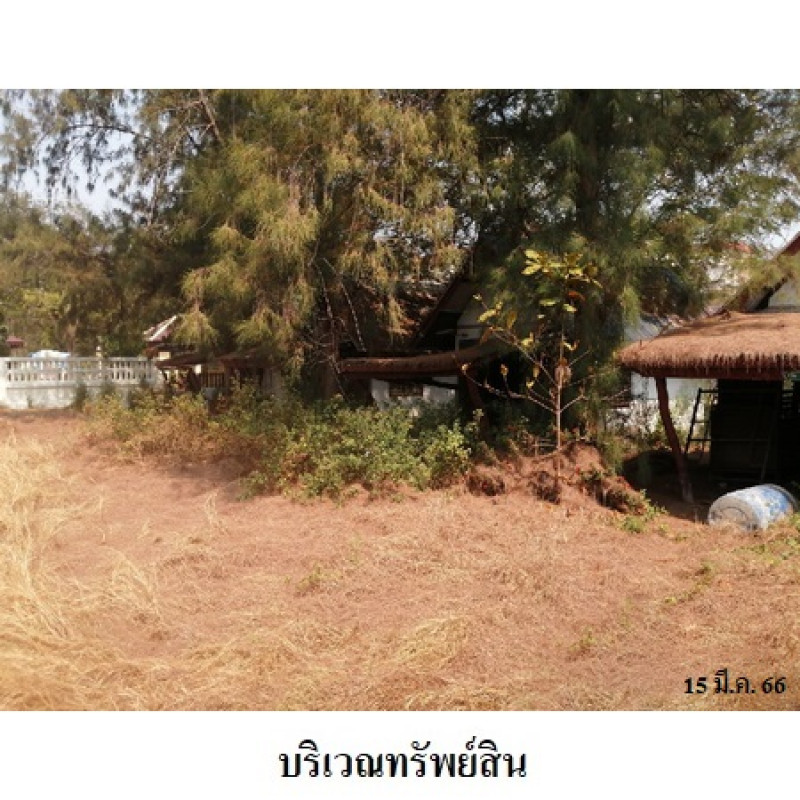 อื่นๆ ปึกเตียนวิลล่า เพชรบุรี ท่ายาง ปึกเตียน 2075100