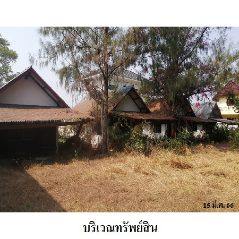 อื่นๆ ปึกเตียนวิลล่า เพชรบุรี ท่ายาง ปึกเตียน 2075100