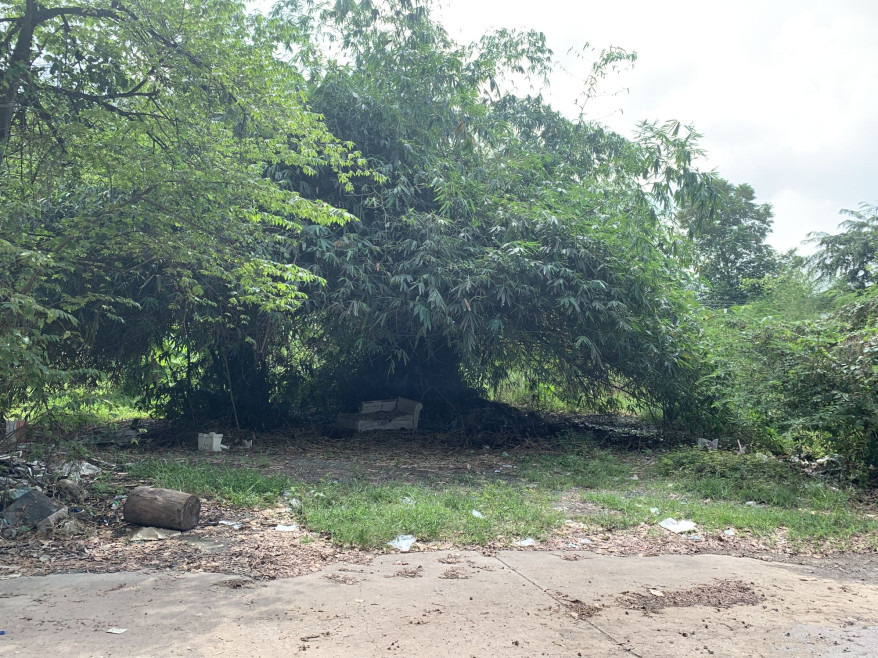 Residential land/lot Pathum Thani Mueang Pathum Thani Lak Hok 18296000