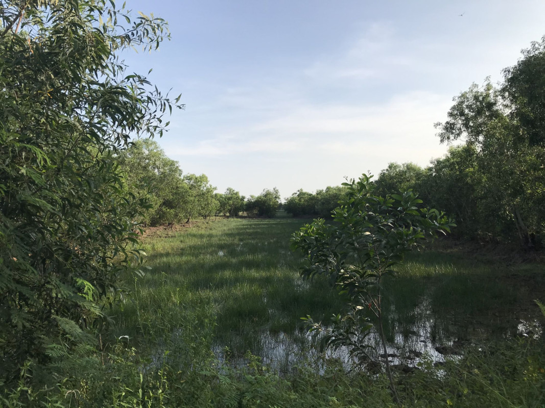 Residential land/lot Nakhon Nayok Ongkharak Sisa Krabue 177000