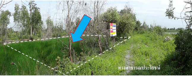 Residential land/lot Nakhon Nayok Ongkharak Sisa Krabue 177000