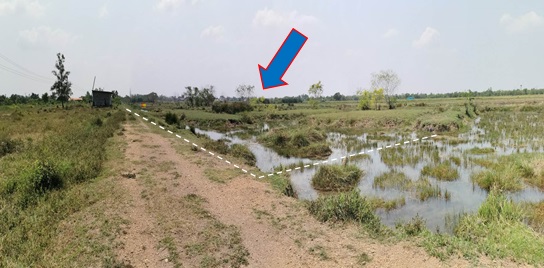 Residential land/lot Nakhon Nayok Ongkharak Sisa Krabue 1902000