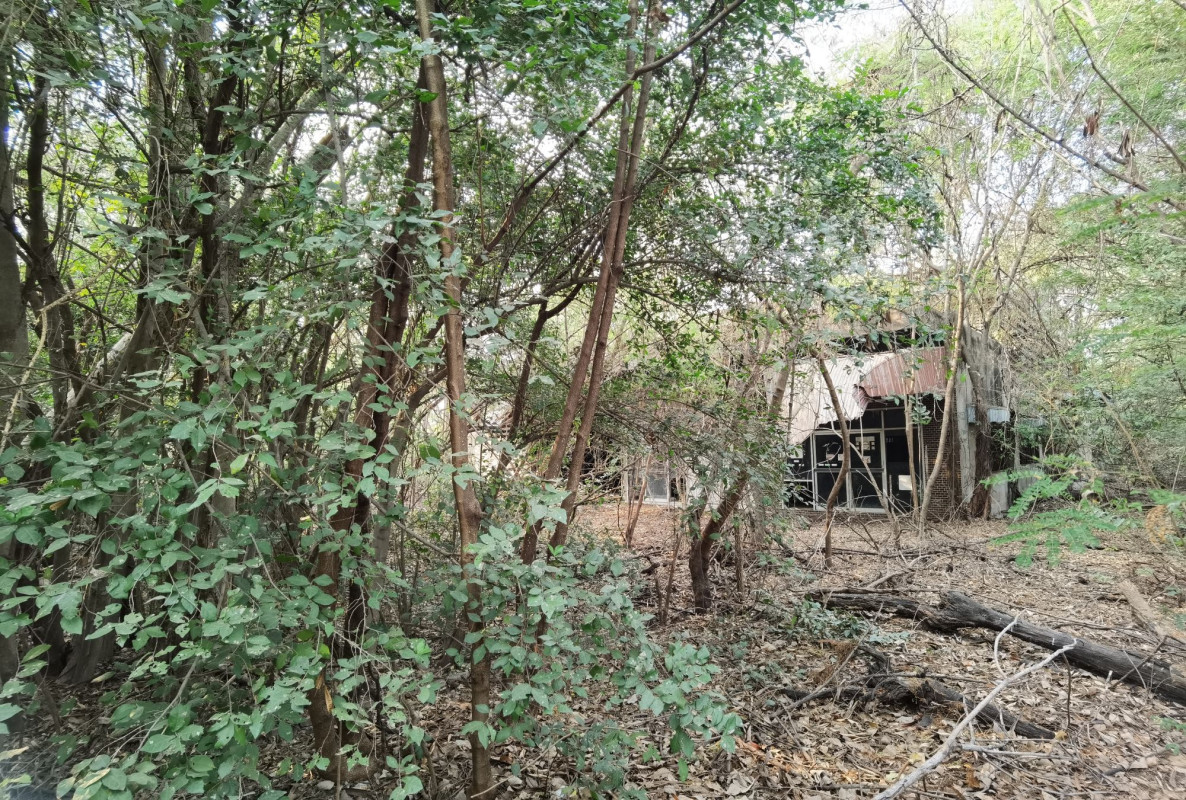 ที่ดินเปล่า สุพรรณบุรี เมืองสุพรรณบุรี สนามชัย 10384000