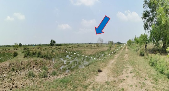 Residential land/lot Nakhon Nayok Ongkharak Sisa Krabue 1893000
