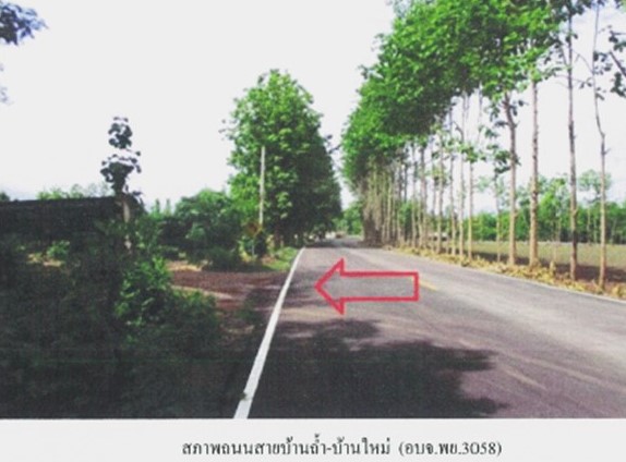 ที่ดินเปล่า พะเยา ดอกคำใต้ บ้านถ้ำ 1725000