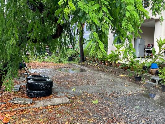 ที่ดินเปล่า นนทบุรี เมืองนนทบุรี สวนใหญ่ 21540000