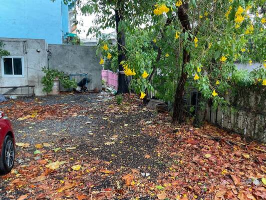 ที่ดินเปล่า นนทบุรี เมืองนนทบุรี สวนใหญ่ 21540000