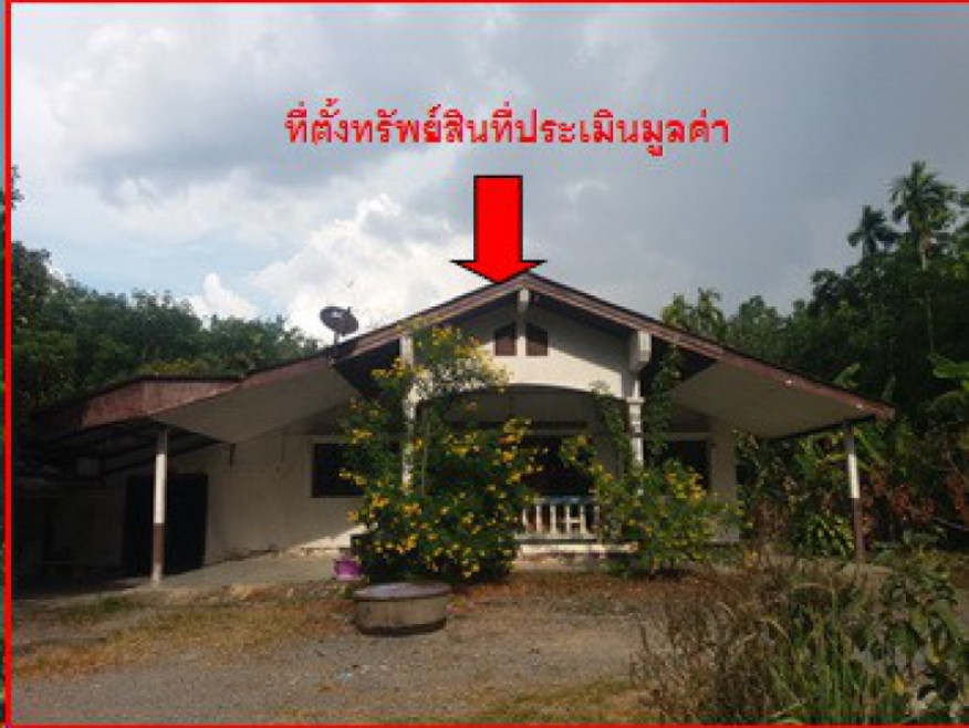 Single house Nakhon Si Thammarat Chawang La-Ai 2211000
