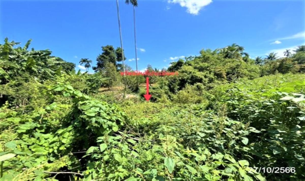 Residential land/lot Surat Thani Kanchanadit Krut 2763000