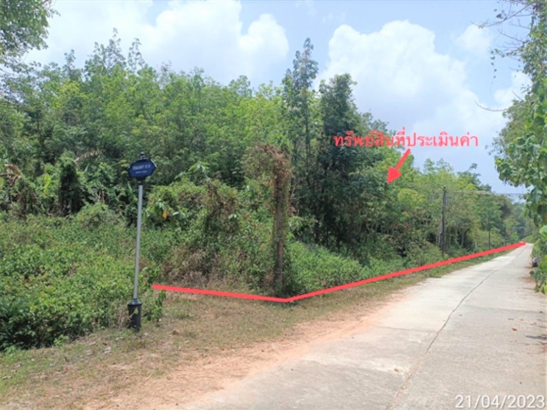 ที่ดินเปล่า ตรัง ปะเหลียน เกาะสุกร 5580000
