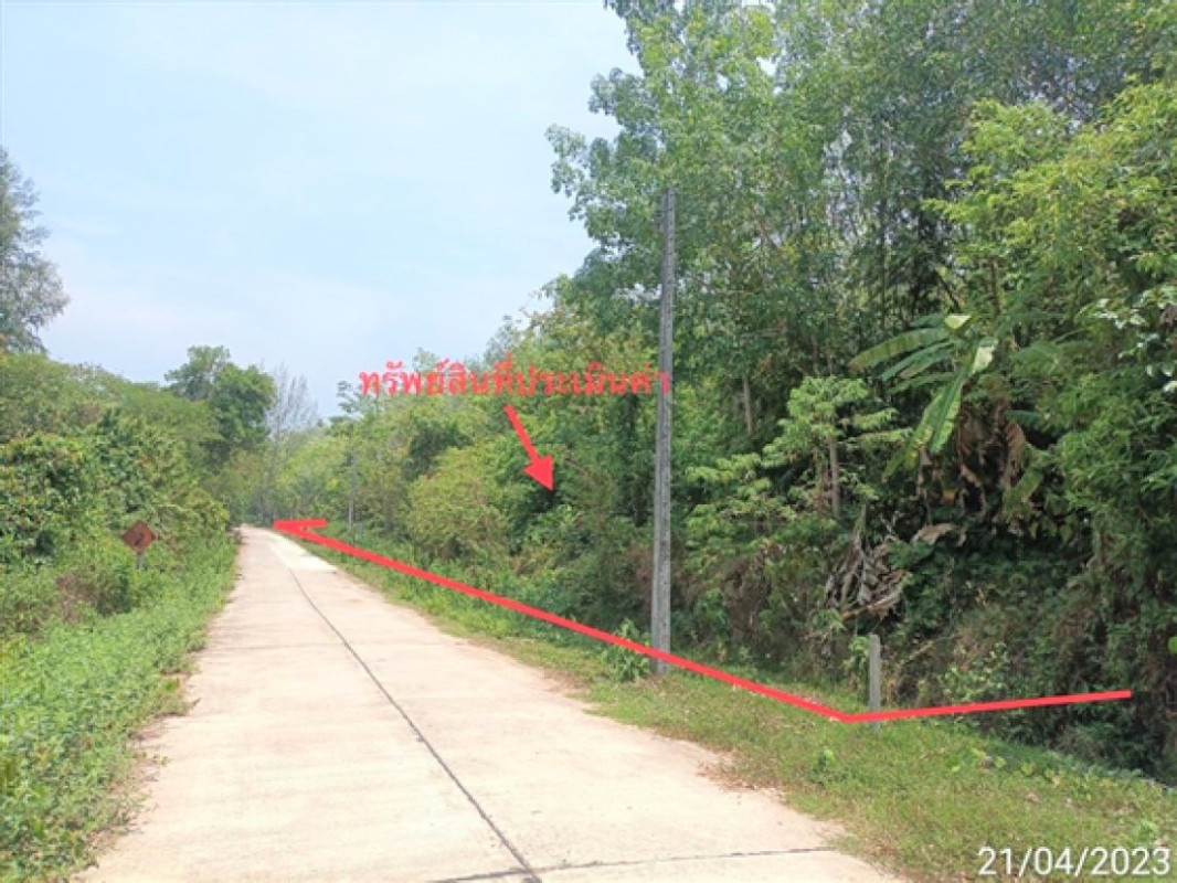 ที่ดินเปล่า ตรัง ปะเหลียน เกาะสุกร 5580000