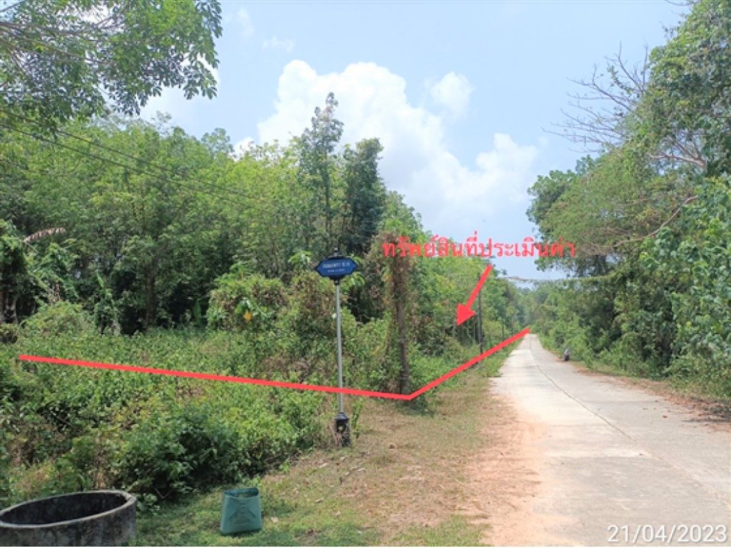 ที่ดินเปล่า ตรัง ปะเหลียน เกาะสุกร 5580000