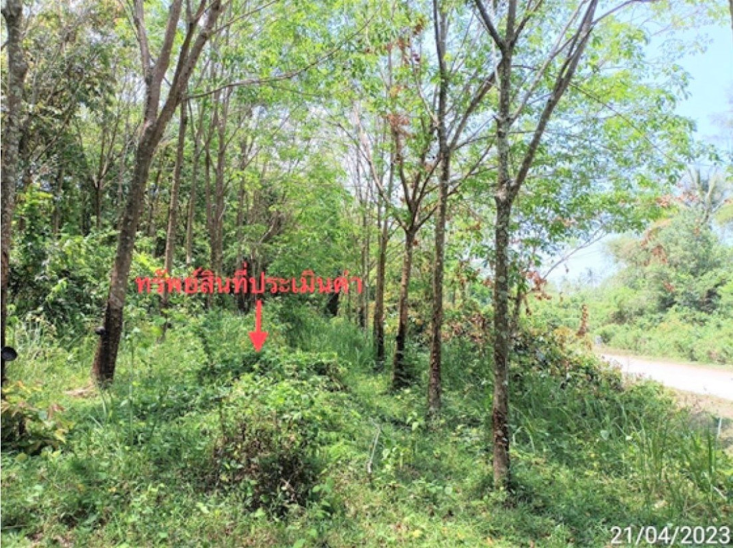 ที่ดินเปล่า ตรัง ปะเหลียน เกาะสุกร 5580000