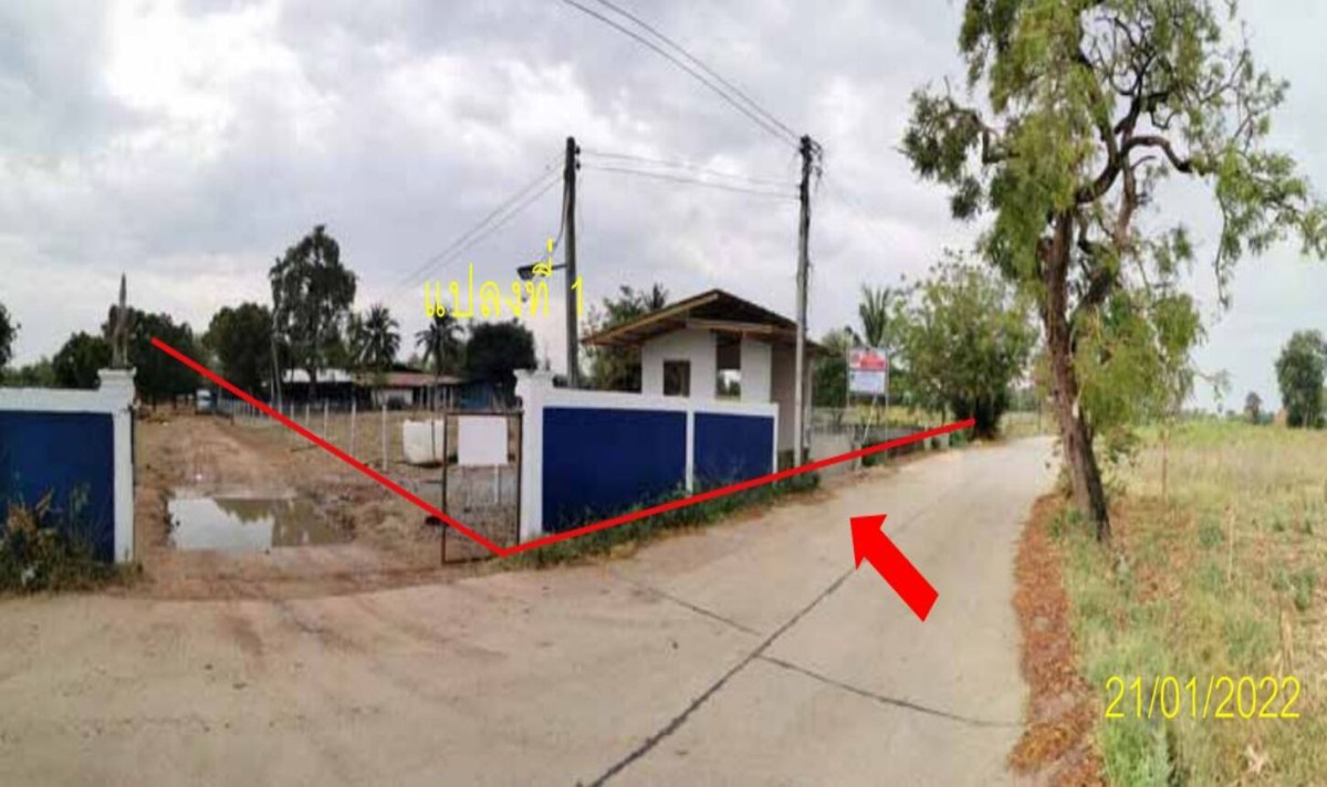 Single house Nakhon Ratchasima Dan Khun Thot Dan Khun Thot 10571000