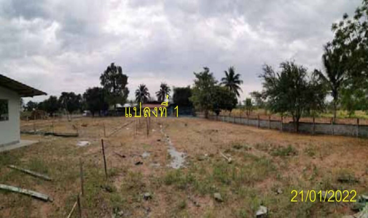 Single house Nakhon Ratchasima Dan Khun Thot Dan Khun Thot 10571000