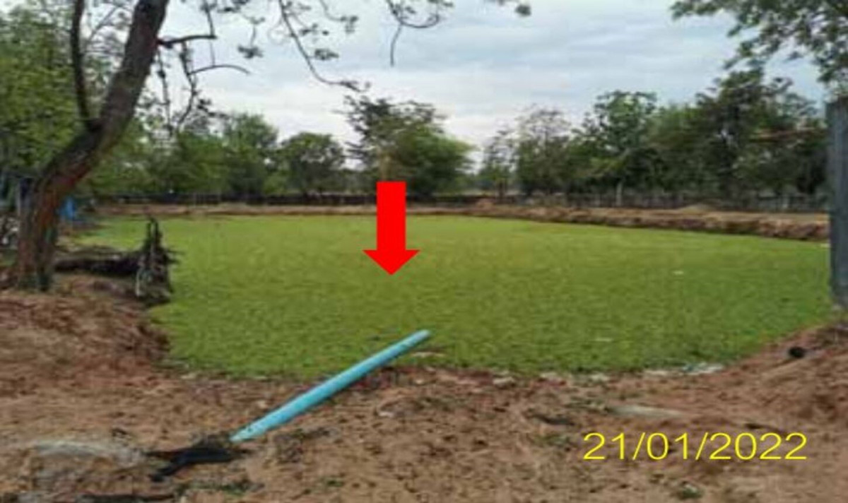 Single house Nakhon Ratchasima Dan Khun Thot Dan Khun Thot 10571000