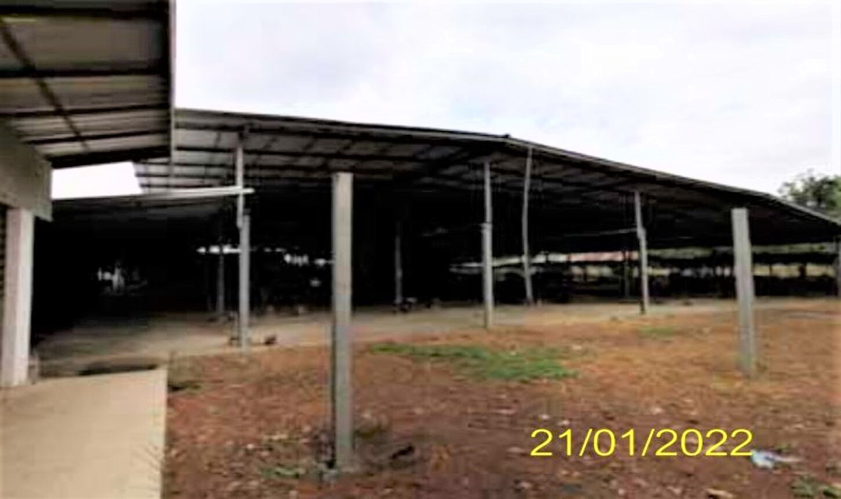 Single house Nakhon Ratchasima Dan Khun Thot Dan Khun Thot 10571000