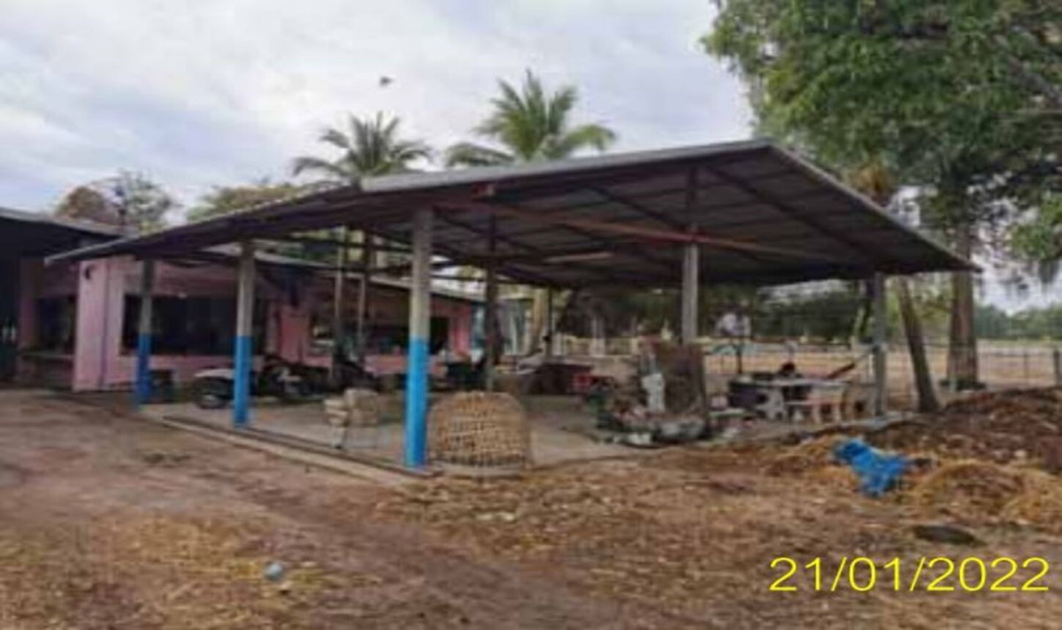 Single house Nakhon Ratchasima Dan Khun Thot Dan Khun Thot 10571000