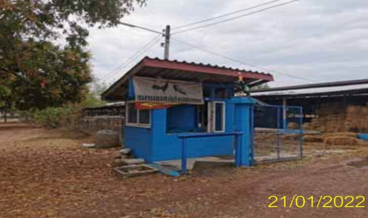 Single house Nakhon Ratchasima Dan Khun Thot Dan Khun Thot 10571000