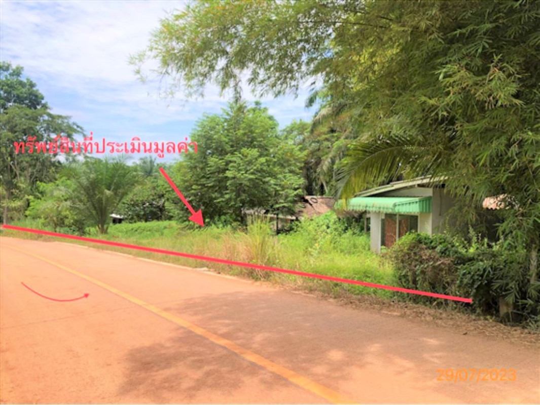 บ้านเดี่ยว สุราษฎร์ธานี ชัยบุรี คลองน้อย 645000