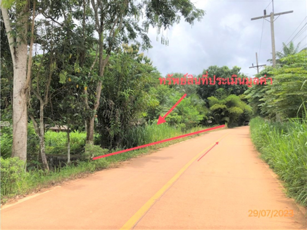 บ้านเดี่ยว สุราษฎร์ธานี ชัยบุรี คลองน้อย 645000