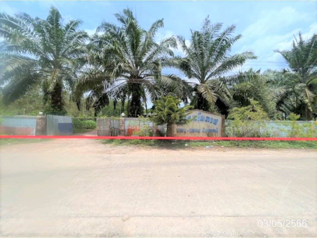 Single house Surat Thani Phrasaeng I Pan 1798000