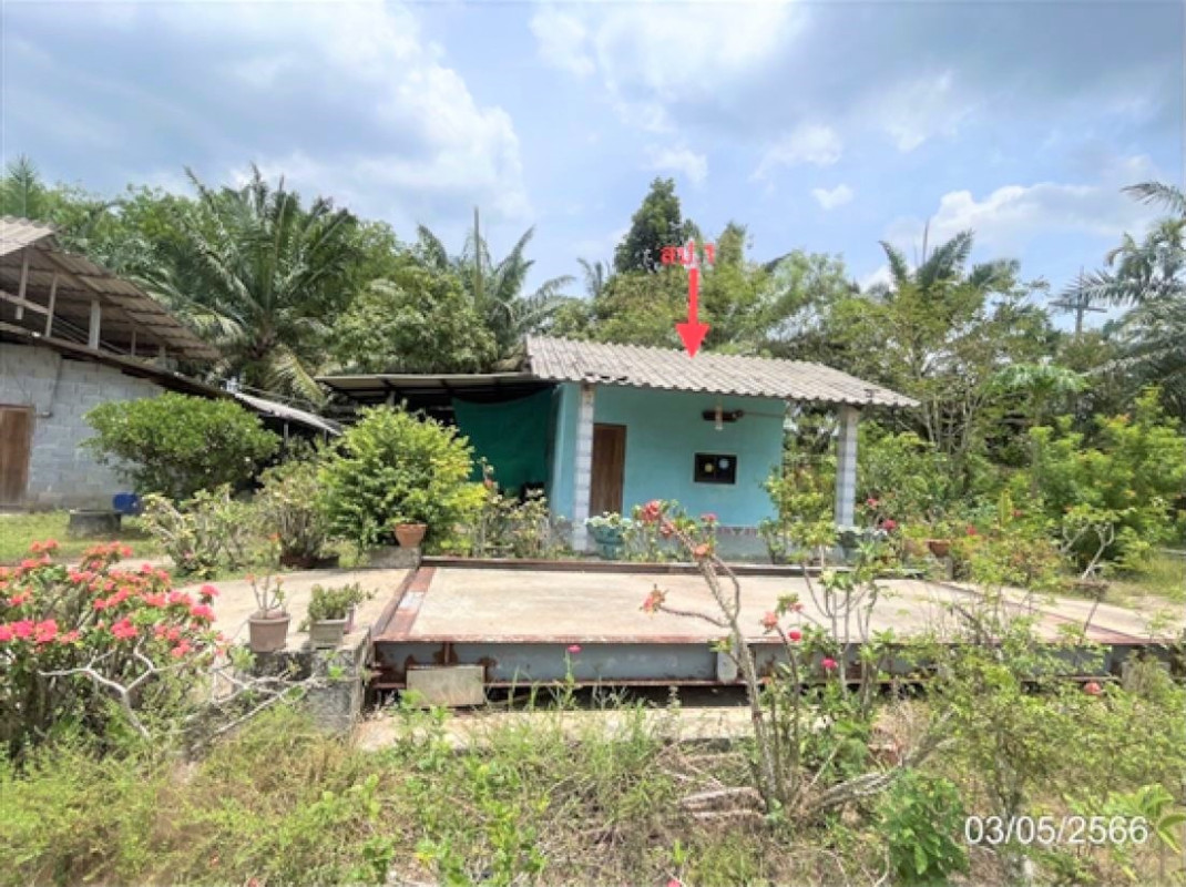 Single house Surat Thani Phrasaeng I Pan 1798000