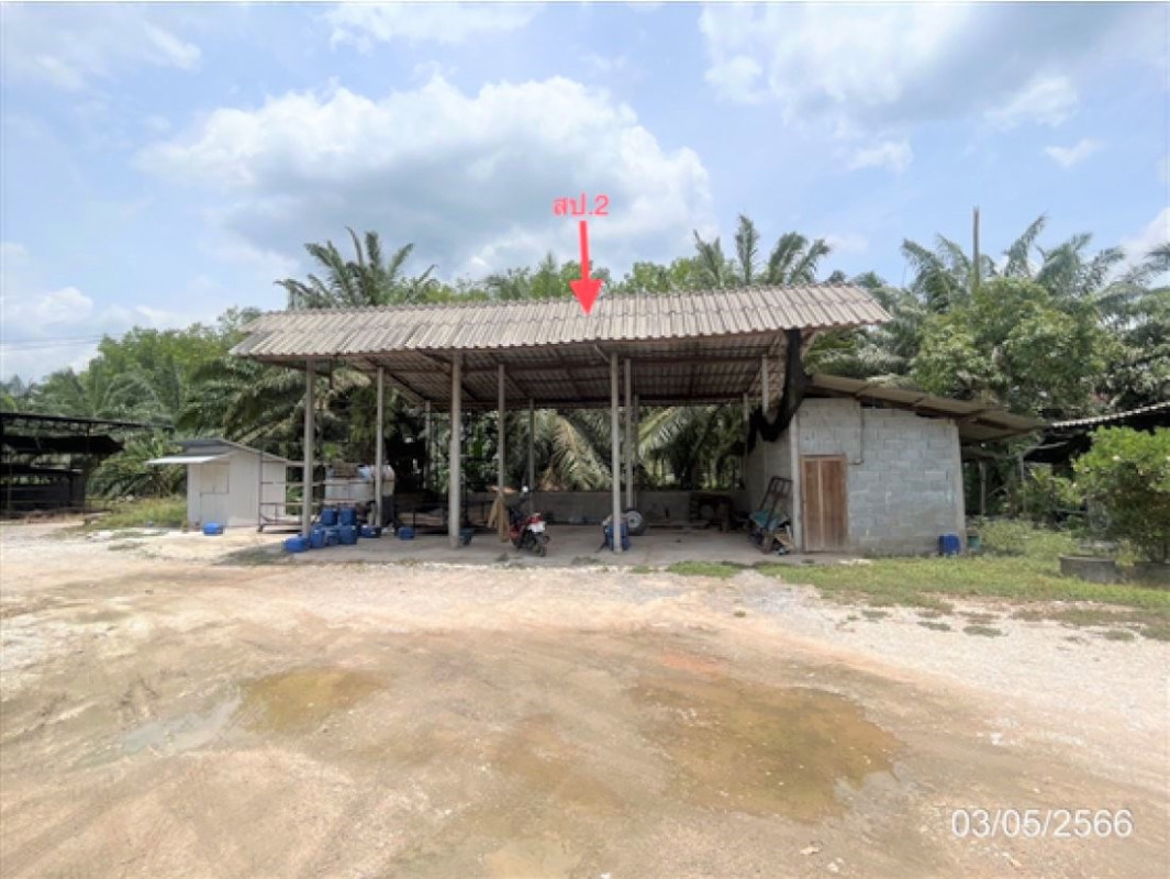 Single house Surat Thani Phrasaeng I Pan 1798000
