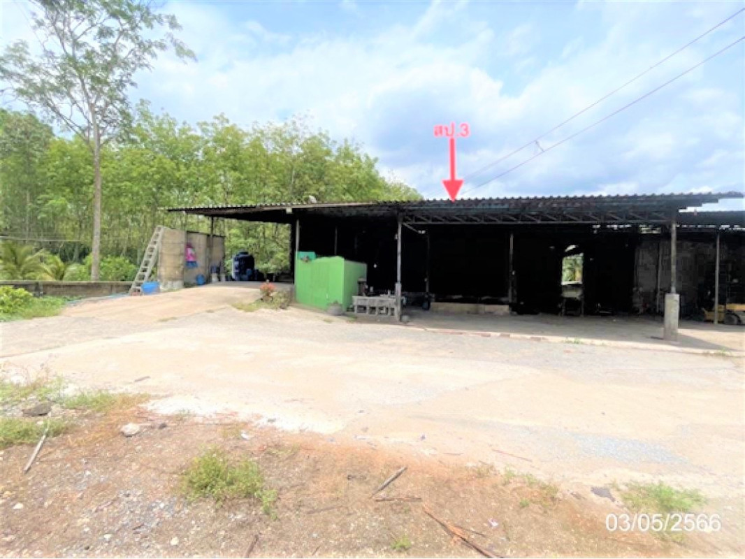 Single house Surat Thani Phrasaeng I Pan 1798000