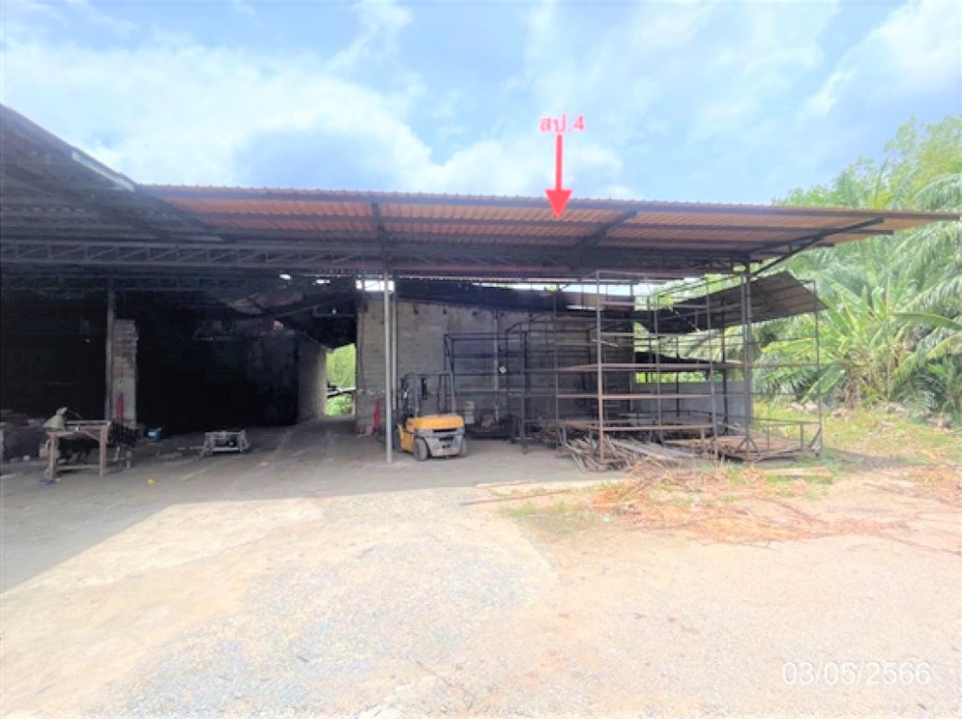 Single house Surat Thani Phrasaeng I Pan 1798000
