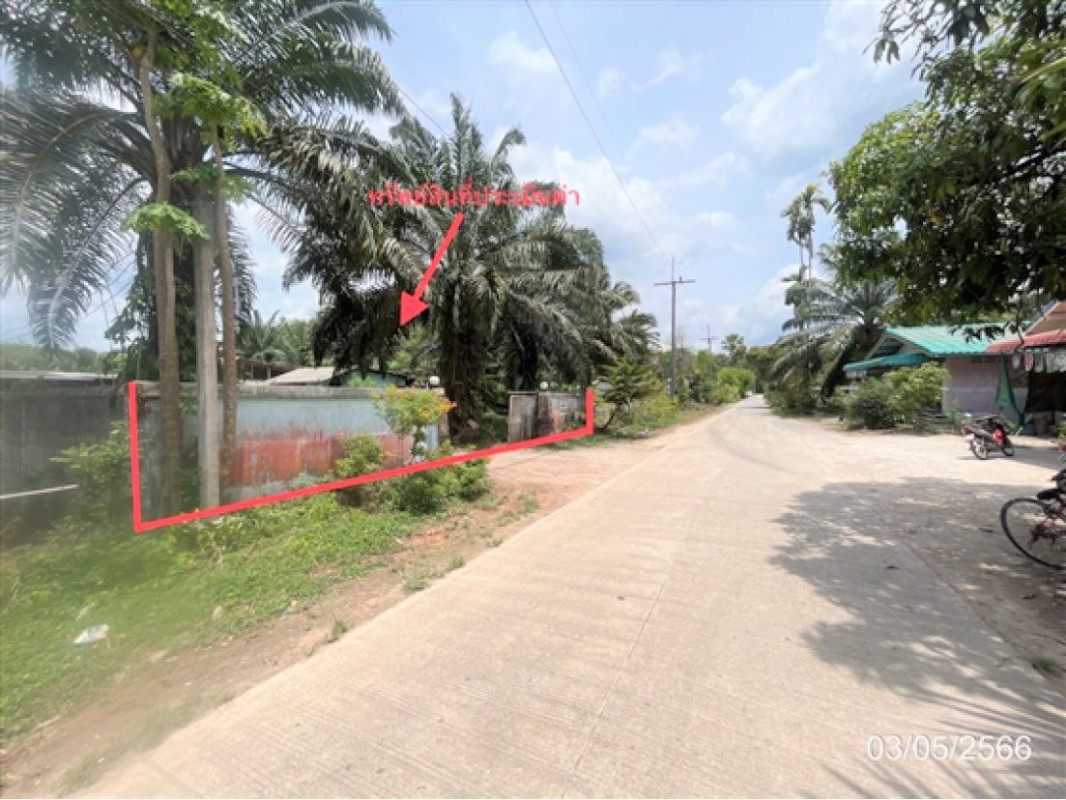 Single house Surat Thani Phrasaeng I Pan 1798000