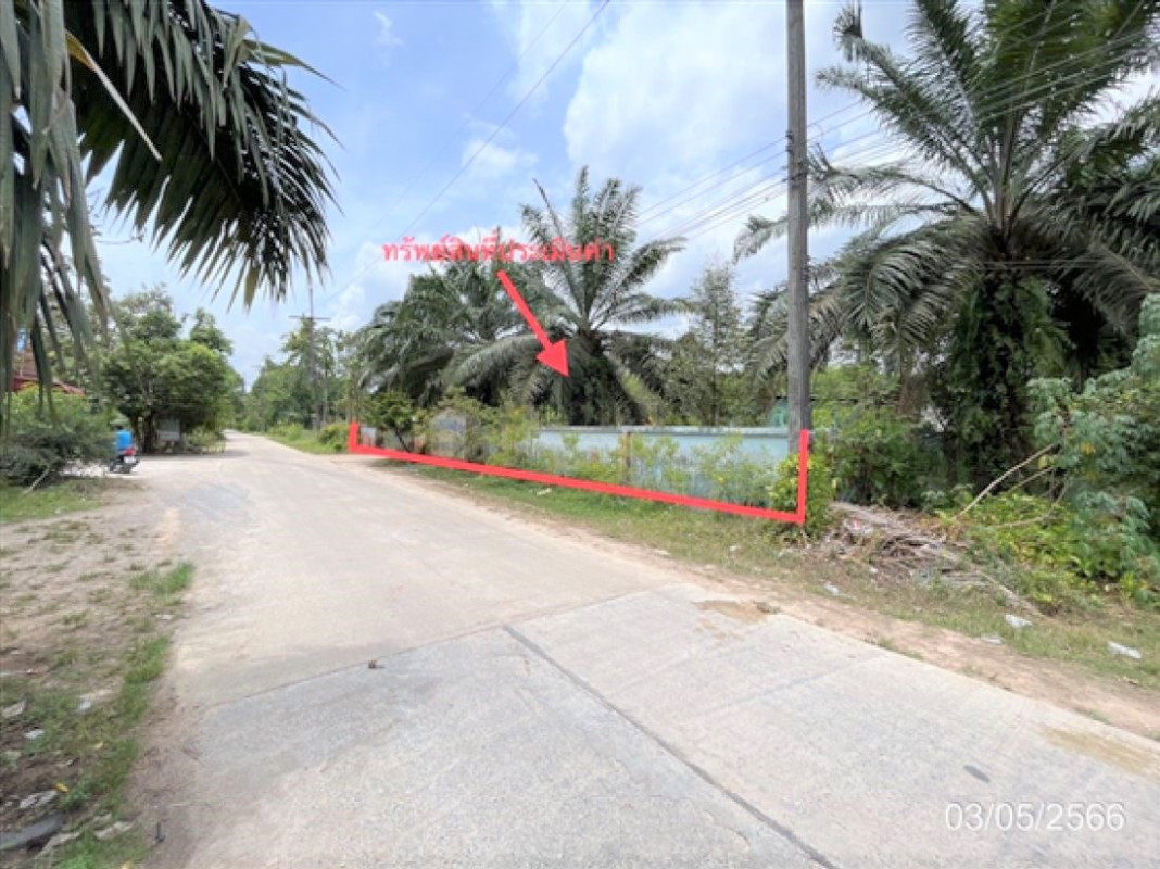 Single house Surat Thani Phrasaeng I Pan 1798000