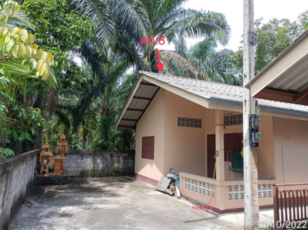 Single house Surat Thani Ban Na San Phru Phi 6583000