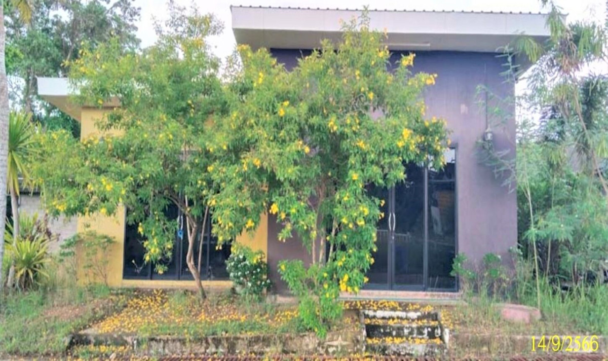 Single house Surat Thani Phanom Ton Yuan 14397000