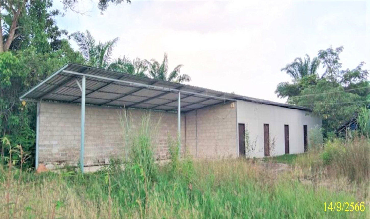 Single house Surat Thani Phanom Ton Yuan 14397000