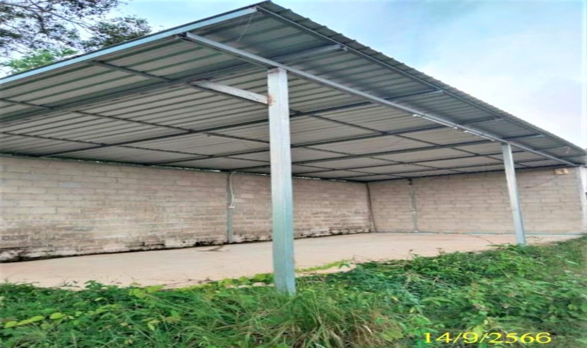 Single house Surat Thani Phanom Ton Yuan 14397000