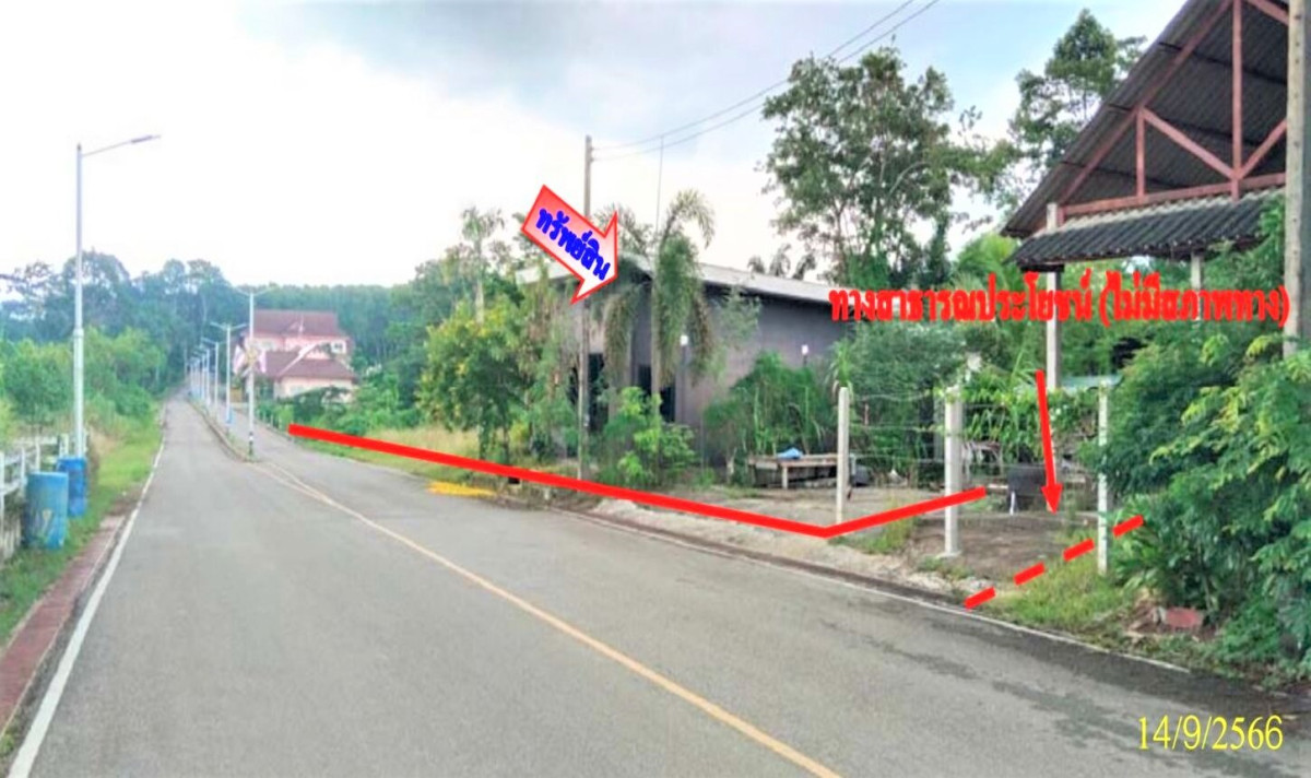 Single house Surat Thani Phanom Ton Yuan 14397000
