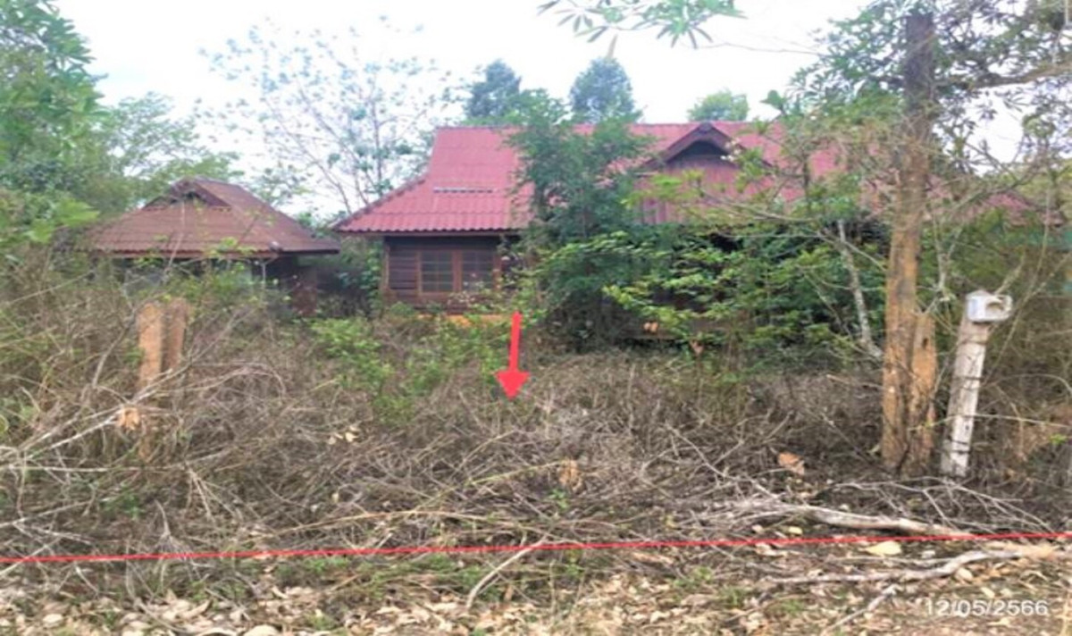 Single house Chiang Rai Phan Sai Khao 2737000