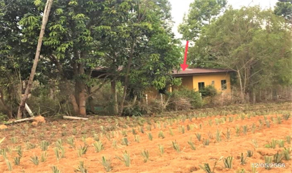 Single house Chiang Rai Phan Sai Khao 2737000