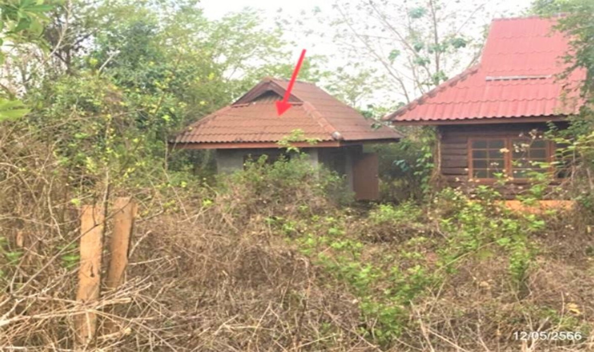 Single house Chiang Rai Phan Sai Khao 2737000