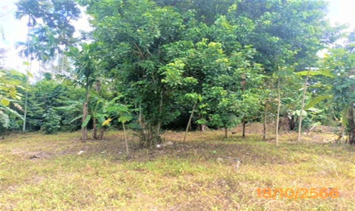 Single house Krabi Mueang Krabi Khao Khram 4006000