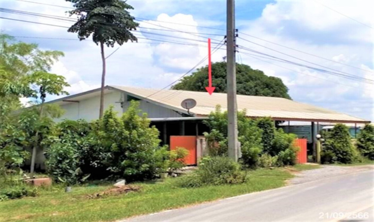 Single house Saraburi Sao Hai Hua Pluak 6428000