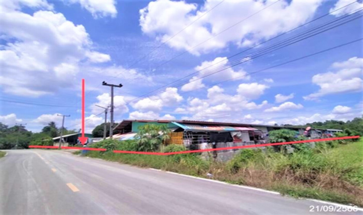Single house Saraburi Sao Hai Hua Pluak 6428000