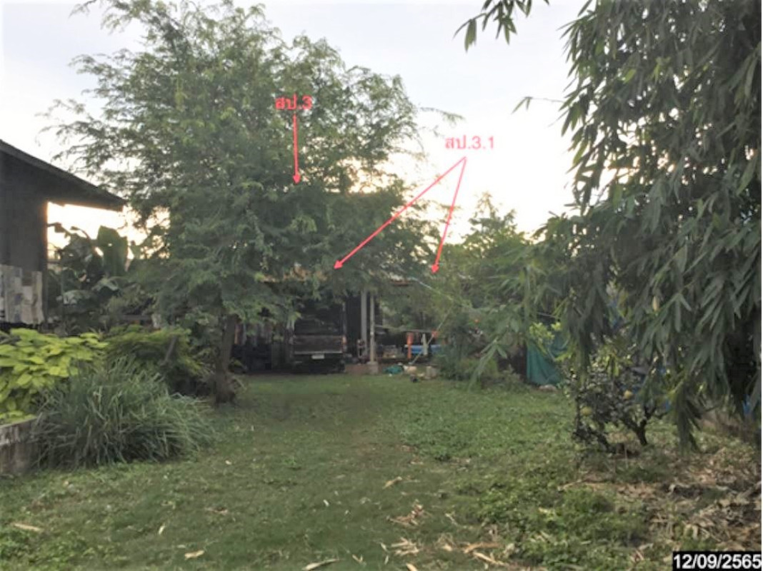 บ้านเดี่ยว ชัยภูมิ ภูเขียว หนองตูม 1543000