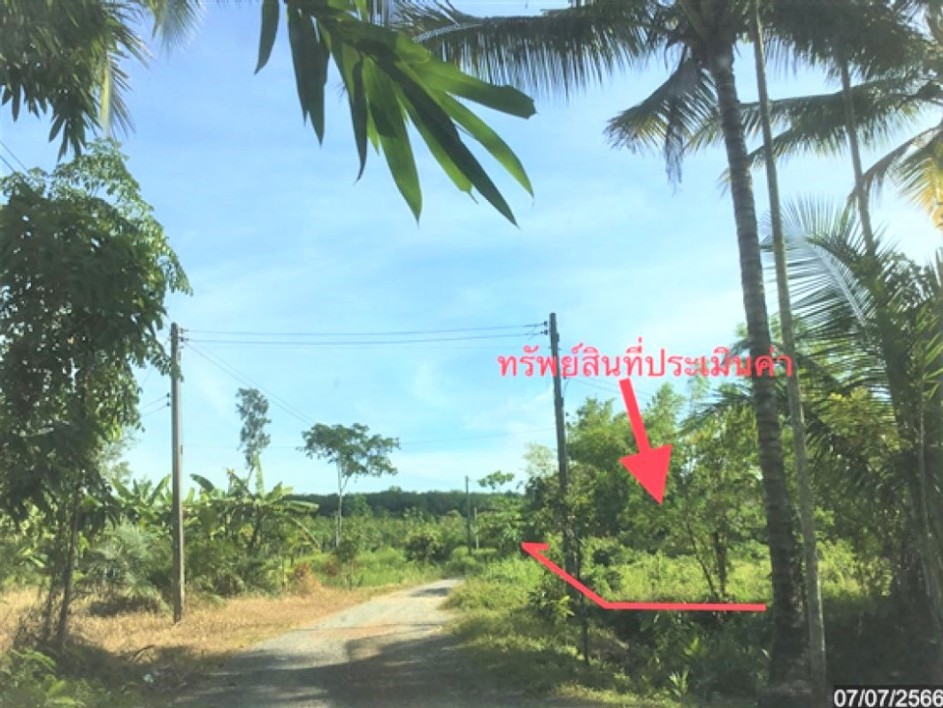 อื่นๆ นครศรีธรรมราช ทุ่งสง เขาโร 1045000