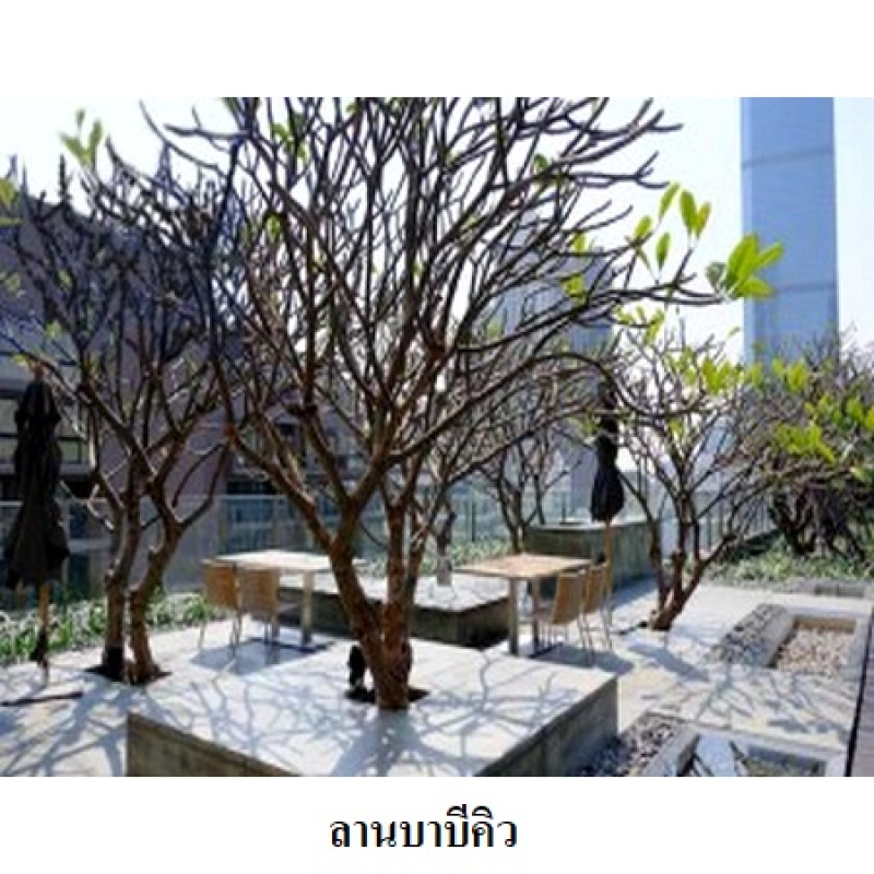 Condominium The Met condominium Bangkok Sathon Thung Maha Mek 27935300