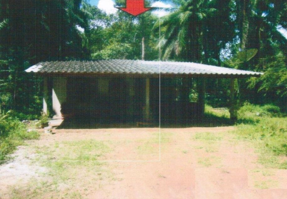 Single house Satun La-ngu Nam Phut 1740000