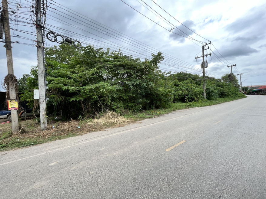 Residential land/lot Sukhothai Sawankhalok Mueang Sawankhalok 15194000